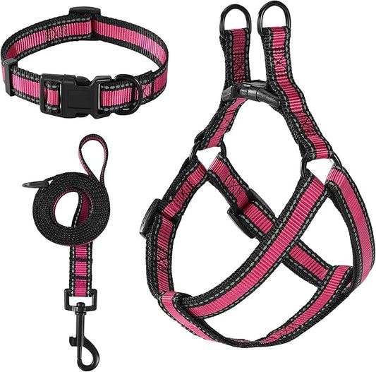 Mile High Life Night Reflective Double Adjustable Band Nylon Small Puppy Pet Dog Combo Collar Leash and Harness Set (Reflective Edge Pink, Small (Pack of 3))