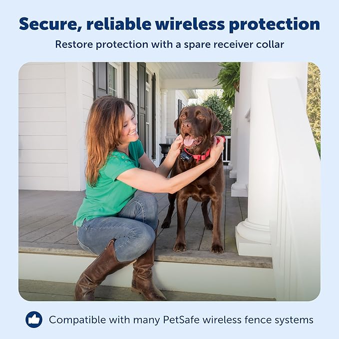 PetSafe Wireless Pet Containment System Receiver Collar - Battery-Operated & Waterproof - Adjustable Receiver Collar with 5 Correction Levels - for Dogs 8lb+