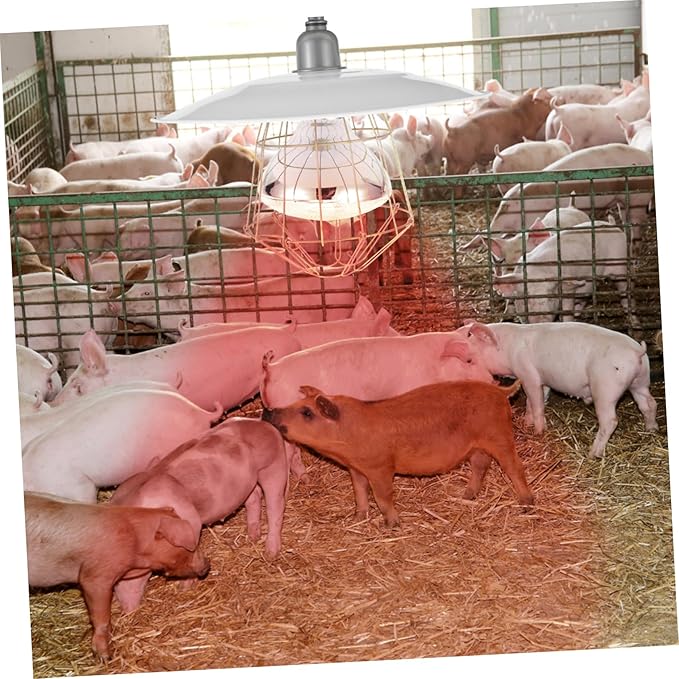 Mini Pig Use Heat Lamp Livestock Heat Lamp Warm Light for Heating Light