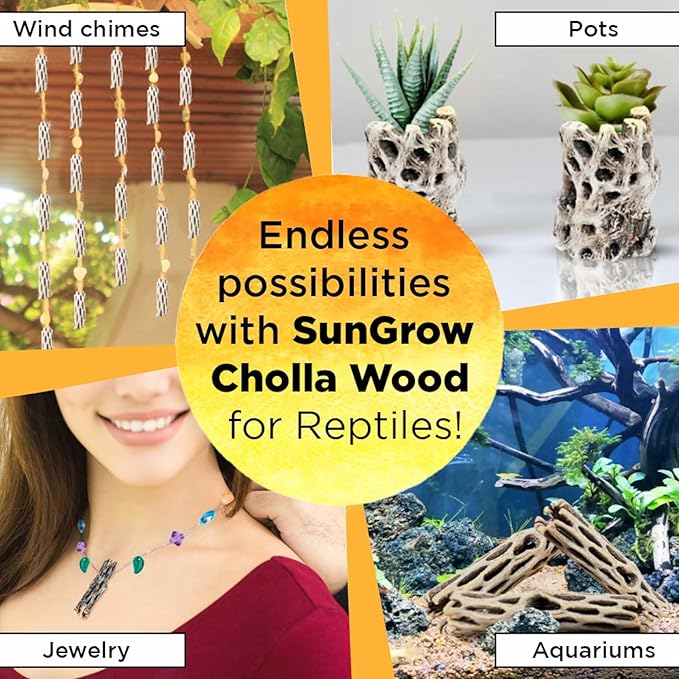 SunGrow Leopard Gecko Cholla Wood, 5 Inches Long, Create Basking Spot, Artistic Home-Decor, Lizards and Bearded Dragons, 6-Pack