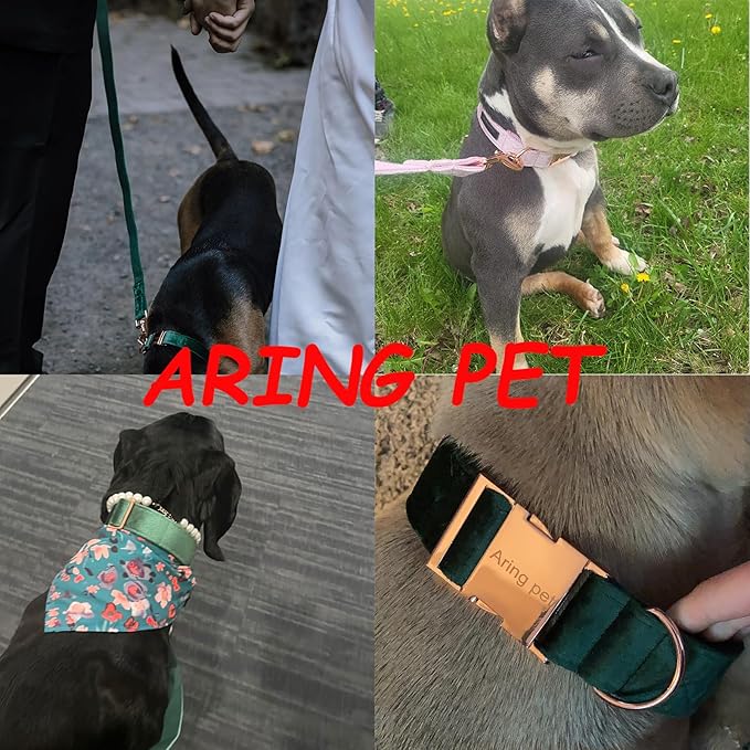ARING PET Velvet Dog Collar Set, Cute Velvet Dog Collar and Leash Set, Soft & Comfy, Adjustable Christmas Red Collars with Metal Buckle for Small Medium Large and Girl Boy Dogs
