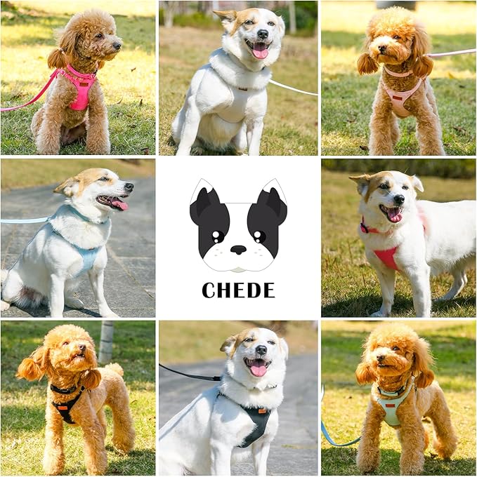 No Pull Dog Harness- Lightweight, Soft, Adjustable Small Harness Collar and Leash Set, Suitable for Cats Puppy Small and Medium-Sized Dog Outdoor Training and Running (Beige, XS)
