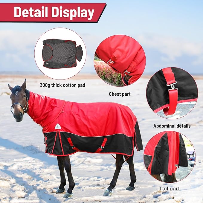 Surcingle Turnout Blankets for Horse,1680D Winter Water-Resistant HorseTrunout Sheets, 300g Warm Polyester Filling Liner, Medium Weight with Turnout Neck Cover Detachable (US 72 in/EU 135 cm)