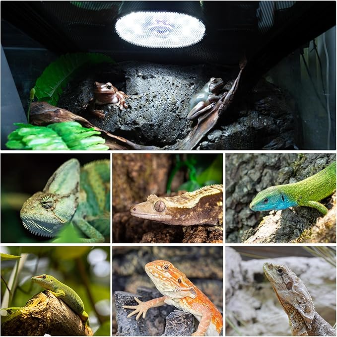 UVB Reptile Light 5.0 & 10.0, UVB Light Bulb Fixture with Dimming, 6W UVA UVB Lamp for Bearded Dragon Gecko Lizard Chameleon Turtle Snake, One Click for Tropical & Desert Reptile