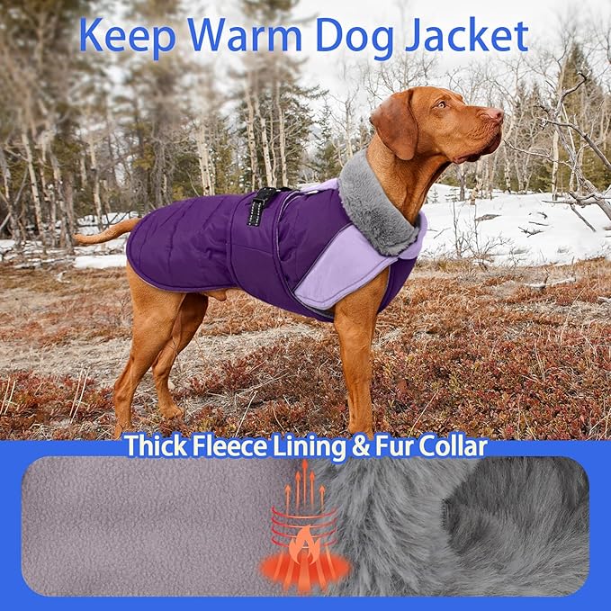 MIGOHI Dog Winter Coat - Reflective Medium Dog Snow Jacket with Thick Turtleneck,Windproof Pet Fleece Vest, Cold Weather Coat for Medium Dogs, Snowproof for Hiking,Camping,L,Purple
