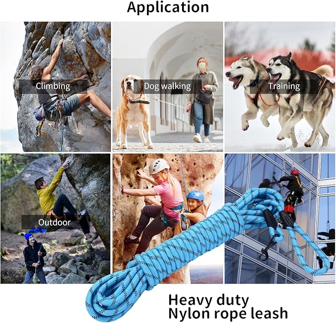 Long Dog Leash for Training 30Ft-Reflective Nylon Rope with Swivel Hook-Recall Agility Lead for Large Small Medium Dogs Outside Walking Hiking-Sky Blue Diam 1/2"