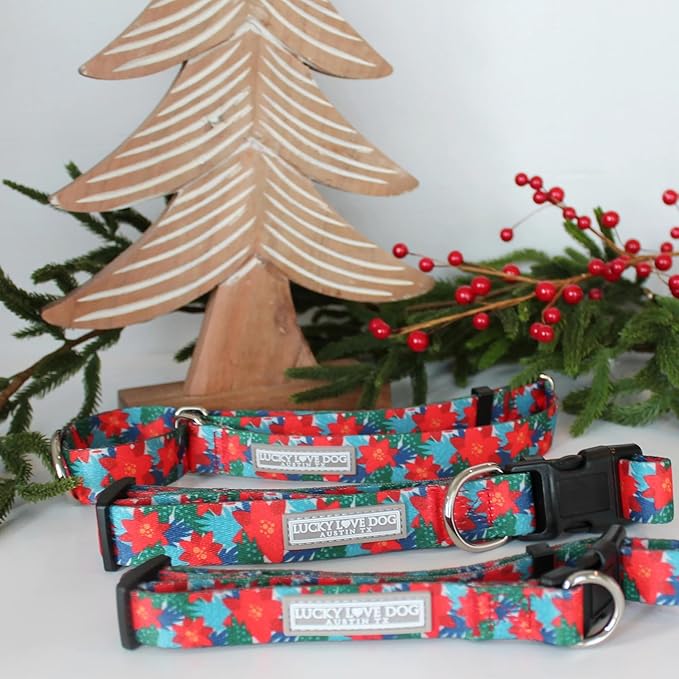 Lucky Love Dog - Easy Click Noel Dog Collar with Leash Set Combo, Durable & Comfortable for Male & Female Dogs, Pet Collar for Small Dogs, Secure Fit - Noel Combo, XS