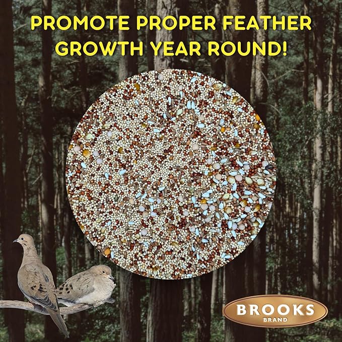 Birds of a Feather Deluxe Dove Food, Pigeon Food, Mourning Dove Outdoor Bird Seed, Dove Bird Seed, Comida para Palomas, Made in USA, 8 lbs
