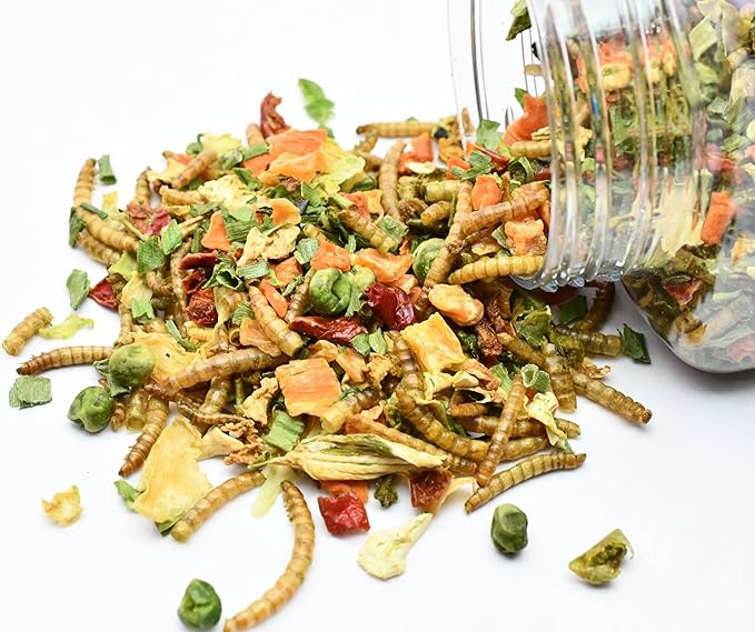 T-Rex Bearded Dragon Food Gourmet Blend – All-Natural Dried Vegetables & Insects, Protein-Included Plant-Based Reptile Diet, Easy to Prepare, 4 oz
