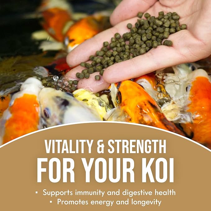 Koi360 Swim Koi Food (1 Pack 10lb)