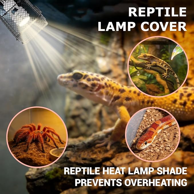 Jerliflyer Reptile Lamp Cover, Heater Guard Heat Protector Anti Scald Cover Mesh Cage Heating Lampshade Ceramic Light Bulb Enclosure for Terrarium Chameleon Lizards Snakes (Square)