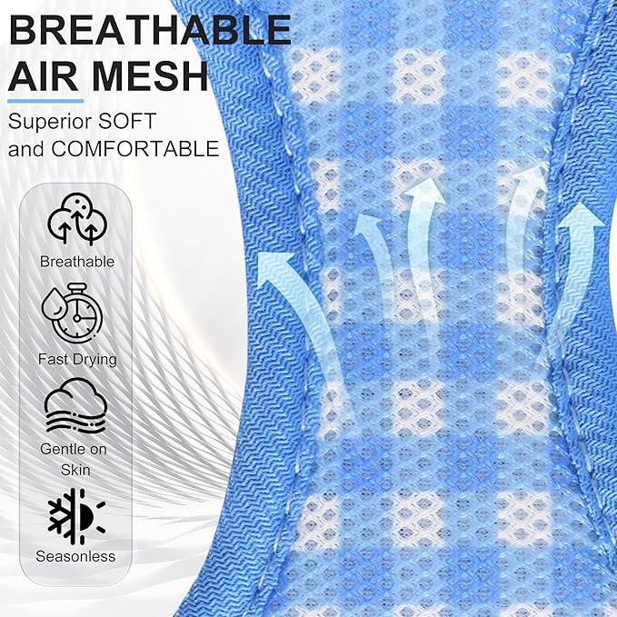 AIITLE Adjustable Dog Harness and Leash Set, Step in No Pull Pet Harness, Soft Mesh Reflective Plaid Vest Harnesses for Small Dogs Puppy and House Cats Outdoor Walking Running Blue XS