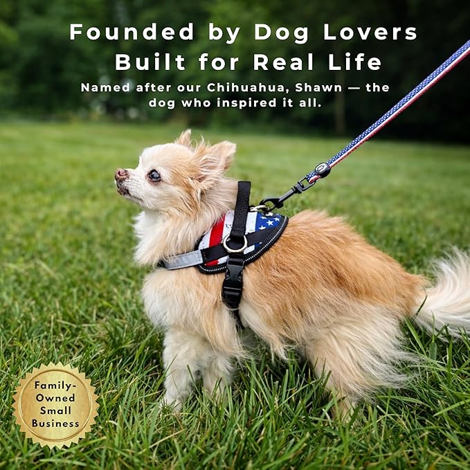 ShawnCo Essential Dog Harness, No-Pull Pet Vest with 3 Leash Clips, No Choke, Reflective, Adjustable and Padded, for Easy Walking and Training for Small, Medium and Large Dogs (Olive Green, XL)