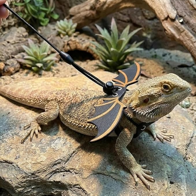 Bearded Dragon Carrier Sling & Leash Harness Set, Adjustable Flannel Lizard Travel Bag & Bat Wing Leash with 3 Size Pads, Reptile Outdoor Walking Accessories for Geckos (Black)