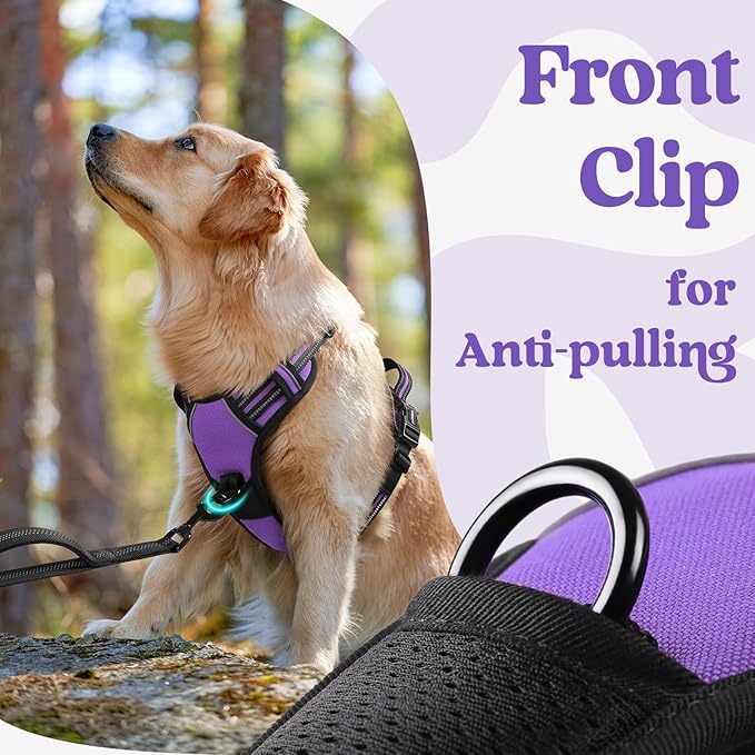 rabbitgoo Dog Harness Small Sized, No Pull Pet Harness with 3 Buckles, Adjustable Soft Padded Vest with Control Handle, Walking Reflective Pet Vest for Small Dogs, Purple, S