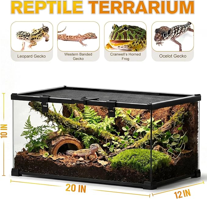 20"x12"x10" Mini Reptile Glass Terrarium, Top-Opening Vivarium with Escape-Proof Lock & Feeding Door, Suitable for Small Reptiles & Amphibians, Such as Leopard Geckos & Horned Frogs.