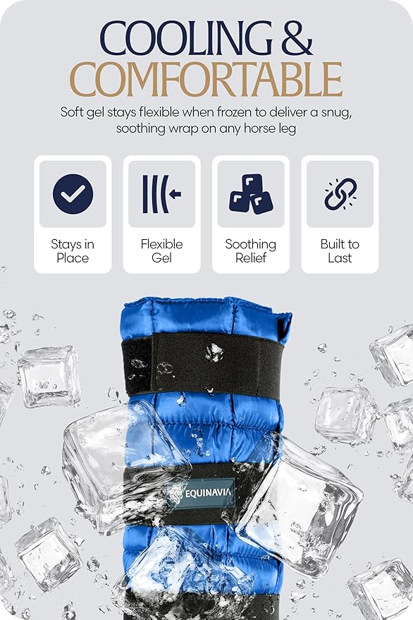Equinavia Cool Relief Therapy Ice Boots Leg Wraps Pair for Horses, Gel Pack with Adjustable Straps | 16.5" x 15.5" with Storage Bag - Royal Blue - Pair - One Size