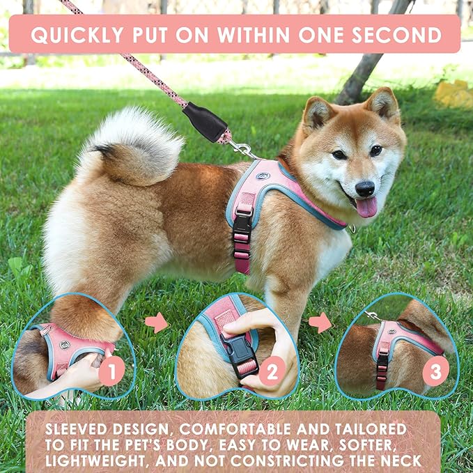 Dog Harness and Leash Set, No Pull Saddle Style Pet Harness, Breathable Mesh Adjustable Reflective Dog Vest for Dogs and Cat Medium Small Harness 2 D-Rings (Pink, S)