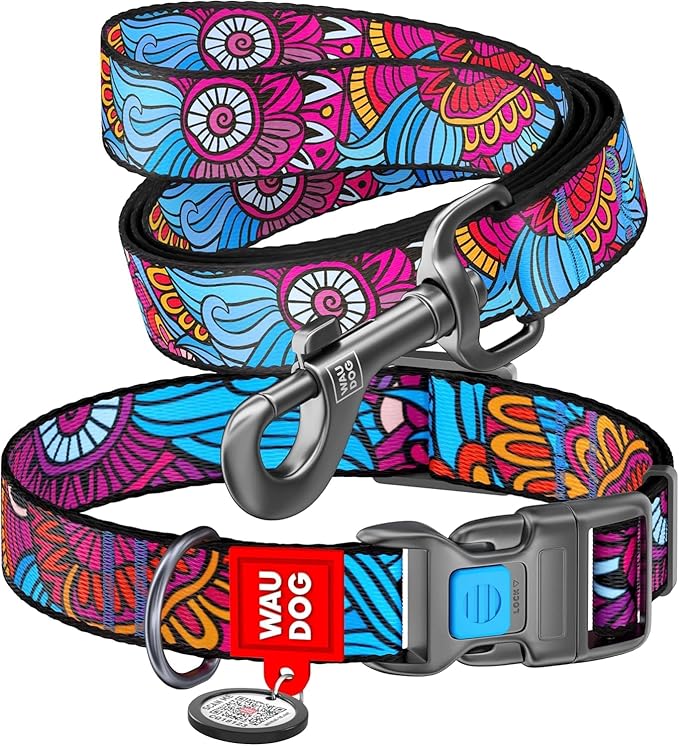 Nylon Dog Collar and Leash Set - Adjustable Dog Collar for Large Dogs, Small & Medium Dogs - Puppy Collars for Large Breed - Boy & Girl Collars with Durable Plastic Buckle and QR Tag