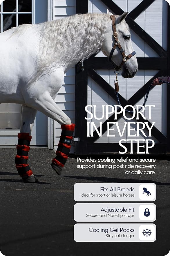 Equinavia Cool Relief Therapy Ice Boots Leg Wraps Pair for Horses, Gel Pack with Adjustable Straps | 16.5" x 15.5" with Storage Bag - Red - Pair - One Size