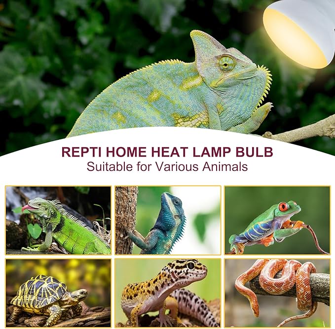 150W Reptile Heat Lamp Bulb,Basking Spot Lamp Bulb for Reptiles & Amphibians，Reptile Daylight Heat Bulb for Bearded Dragon, Lizard, Turtle