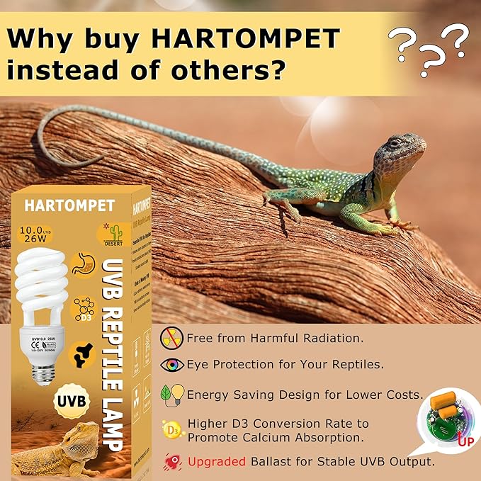 UVB 10.0 Reptile Light 26W, Compact Fluorescent Lamp, Coil UVB Desert Bulb for Bearded Dragons, Lizards, Tortoises, Snakes & Reptile Tanks
