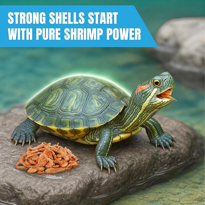 JOR Dried Shrimps for Turtle, Freeze-Dried High Protein, Low Fat Snack for Shell Growth & Energy, Easy-Chew Treat for Tropical Fish, Reptiles, Amphibians & Other Aquarium Pets, 1 oz