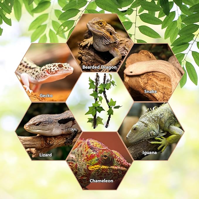 BNOSDM Reptile Climbing Branch Flexible Bend-A-Branch Jungle Vines Terrarium Plant Decoration with Suction Cup for Crested Gecko Chameleon Gecko Snake Tree Frog 2PCS