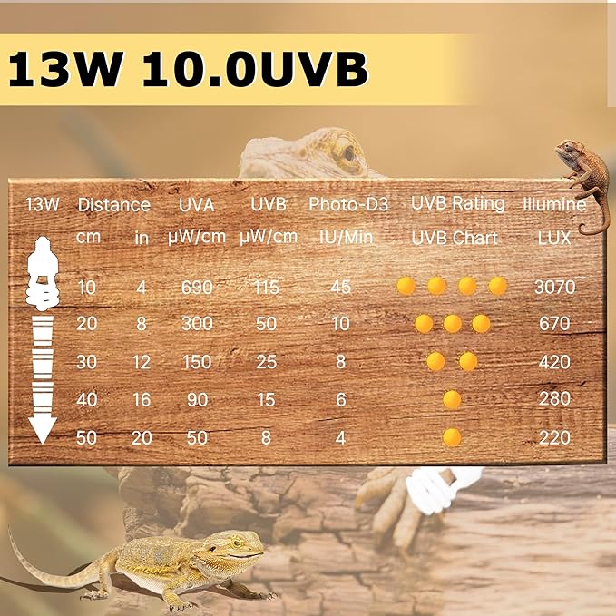 UVB 10.0 Reptile Light 13W, Compact Fluorescent Lamp，Coil UVB Desert Bulb–Lighting for Bearded Dragons, Lizards, Tortoises, Snakes, Geckos, Amphibians & Small Reptile Tanks