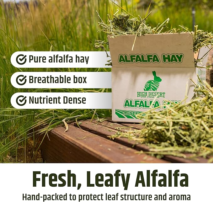 High Desert Alfalfa Hay, Protein Rich Soft Leaf Food for Young Growing Animals, Natural Rabbit Food and Guinea Pig Hay, Supports Digestive Health, Small Pet Supplies, Fresh Hand Packed 5 Lb Box