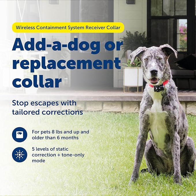 PetSafe Wireless Pet Containment System Receiver Collar - Battery-Operated & Waterproof - Adjustable Receiver Collar with 5 Correction Levels - for Dogs 8lb+