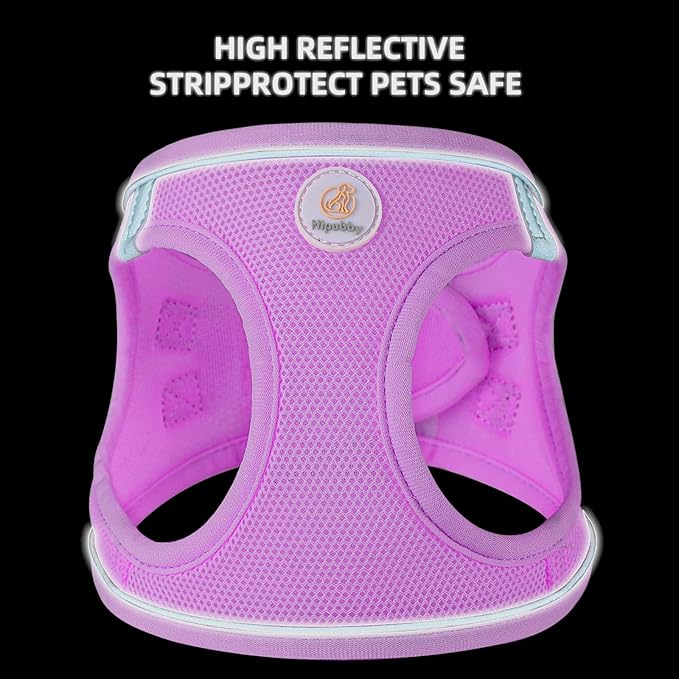 Hipubby Dog Harness and Leash Set, No Pull Soft Mesh Puppy Harness for Small Medium Dogs, Cats - Step in Reflective Breathable Lightweight Vest Harness for Walking, Training - Purple, XS