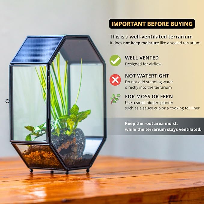 NCYP Glass Enclosure Terrarium with Mesh and Door for Spiders, Small Mantis, Jumping Spider - Octagon Shape Vented Glass Terrarium 6.2 x 3.1 x 8.7 inches, Black (Plants Not Include)