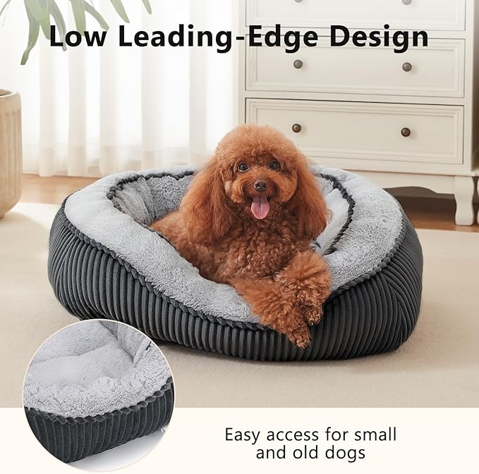 SIWA MARY Washable Dog Bed for Small Medium Sized Dogs, Rectangle Small Puppy Cat Dog Beds, Orthopedic Pet Bed, Soft Breathable Calming Pet Sofa Bed Anti-Anxiety with Anti-Slip Buttom, S(20"x19"x6")
