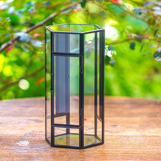 NCYP Glass Enclosure Terrarium with Mesh and Door for Small Spiders - Hexagon Shape, Small Mantis Vented Glass Terrarium 4.1'' x 3.6'' x 7.8'', Tabletop Decor, Black (Plants Not Include)