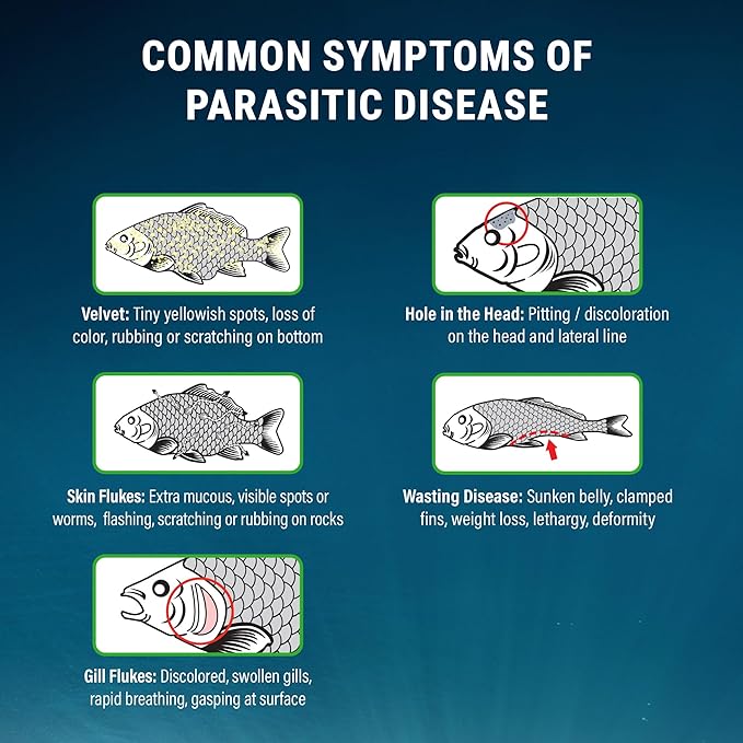 Fritz Aquatics ParaCleanse Provides Fast Relief from Parasitic Diseases (20-Count)