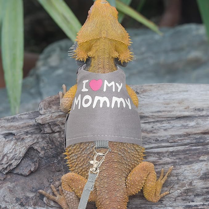 CUSOZWO Bearded Dragon Harness and Leash Set - Cute Lizard Reptile Small Animal Adjustable Harness Clothes with Short Leash for Walking Outdoor