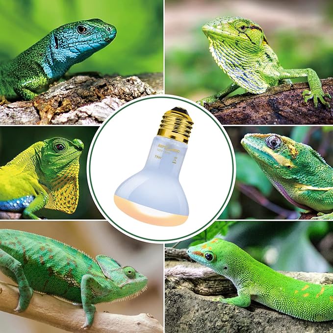 REPTI ZOO 2 Pack 75W Reptile Neodymium Daylight Basking Spot Lamp UVA Bulb Reptile Heat Lamp for Amphibian Lizard Tortoise Bearded Dragon Hedgehogs