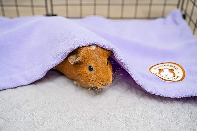GuineaDad Original Reusable Cage Liner – Ultra-Soft Fleece Bedding with Burrowing Pocket – Extra Absorbent Core & Waterproof Bottom – Fits Midwest Guinea Pig Cage – Small Animal Supplies