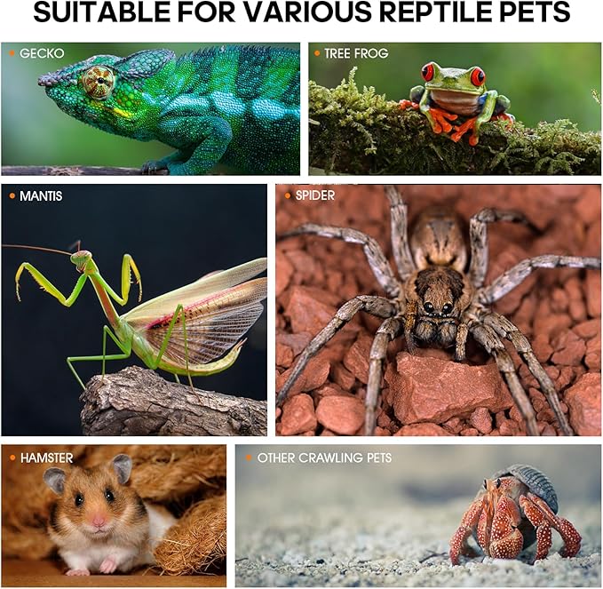 Jumping Spider Enclosure, Insect Terrarium, Bug Cage, Acrylic Terrarium for Tarantula, Snail, Praying Mantis, Frog, and Small Reptiles (7.8" x 7.8" x 13.7")