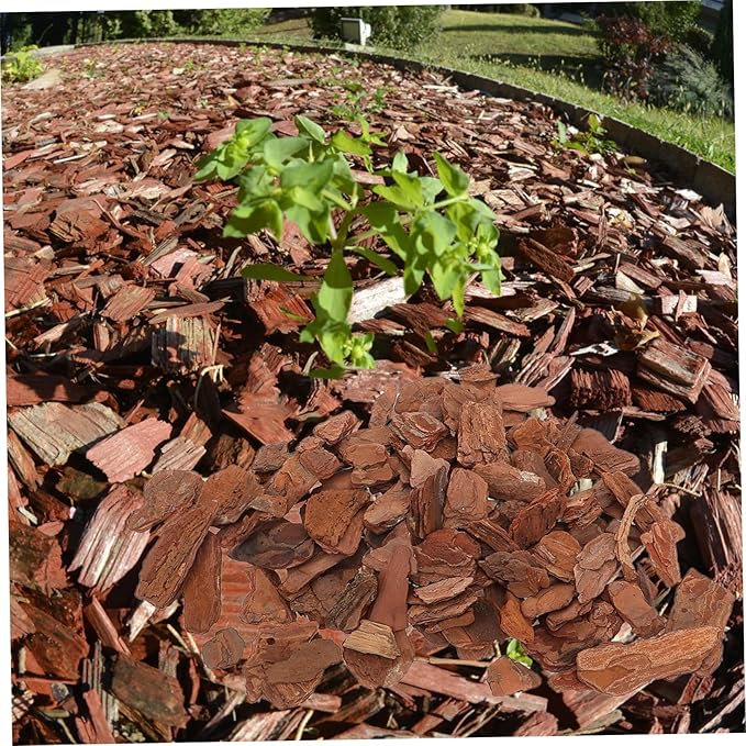 Kisangel Reptile Bark Chips for Terrarium Landscaping Natural Pine Bark Bedding for Turtle and Lizard Habitats 1 Bag Decorative Chips for Reptile Tanks