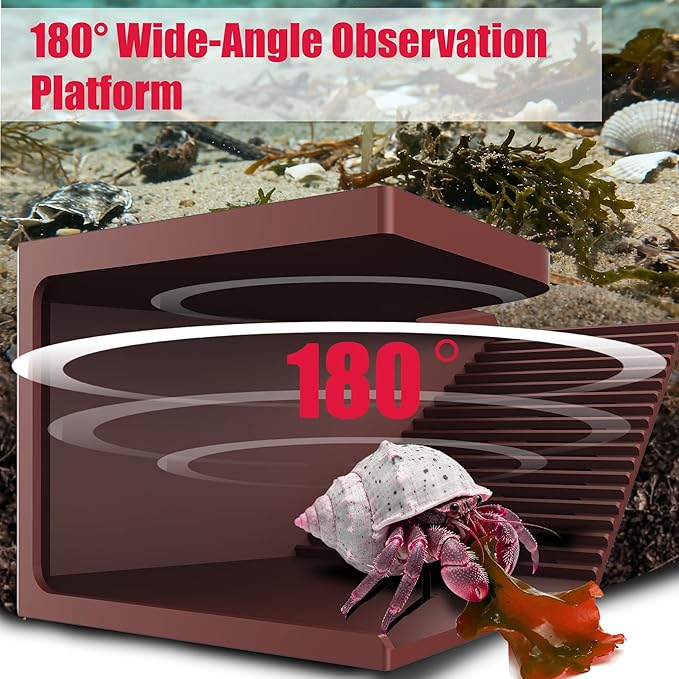 Hermit Crab Hideout with Climbing Tunnel | Hermit Crab Climbing Toys| Hermit Crab Water Tank Accessories |Hermit Crab Habitat, Also Suitable for Sea Turtles, Lizards and Tarantulas