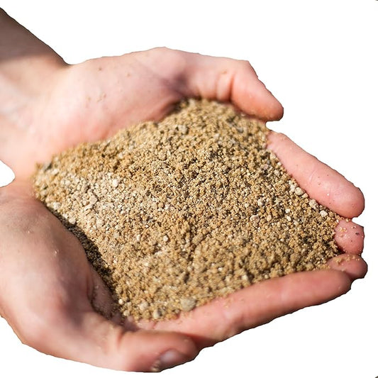 Coarse Sand for Plants – Washed Horticultural Sand for Succulents, Cactus, Bonsai, Potting Mixes & Terrariums | Natural Drainage Sand (2 Quarts, 6 lbs)