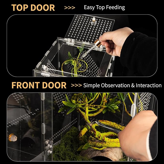 Acrylic Reptile Terrarium Easy Assembly, 360° Clear & Keep Pet Secure Design for Jumping Spiders, Tarantulas, Geckos Scratch-Resistant Large Ventilated Habitat Terrarium for Arachnids 11.8*7.9*7.9in