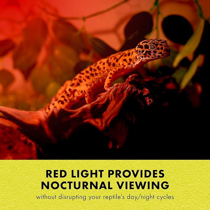 Zilla Incandescent Spot Bulb, for Nocturnal Reptile Species, Night Red (Pack of 2)