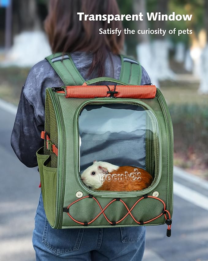 Pecute Small Pet Carrier, Breathable Guinea Pig Carrier with Transparent Bubble & Steel Frame, Safety Lock for Hamster, Rabbit, Bearded Dragon, Lizard, Ideal for Hiking, Vet Visits, Camping, Green