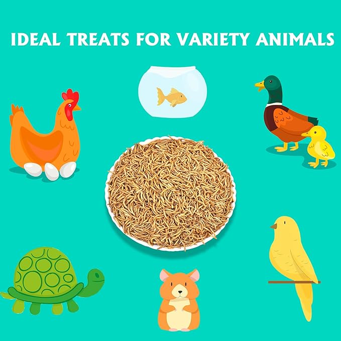 Dried Mealworms 10LB Pure Natural Non-GMO Mealworms for Chicken Ducks and Wild Birds High Protein Chicken Feed and Bird Food