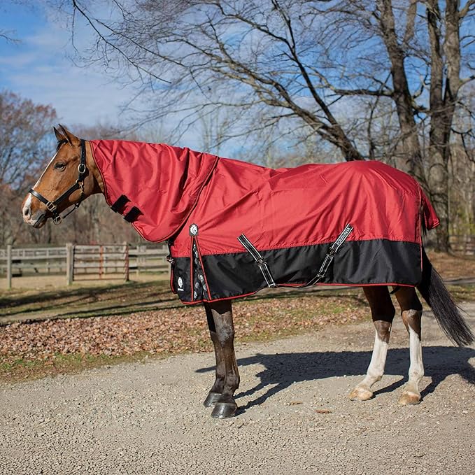 Equinavia Norse Lightweight 100g Fill Horse Rain Blanket | Waterproof Turnout Sheet - Black - 66 in - Equestrian Red - 78 in