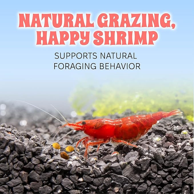 Snout and Shell Bee Pollen Nuggets for Shrimp Tanks – 100% Natural Shrimp Superfood Supplement – Boosts Color, Molting & Breeding – Slow Sinking, Low-Waste Nano Tank Food – 2 oz