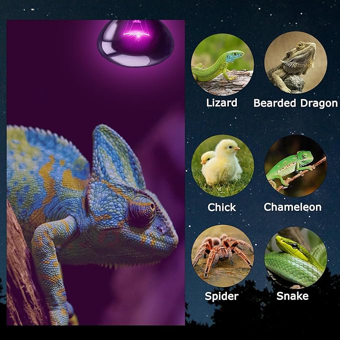HARTOMPET 60W Reptile Night Light Bulb - Simulates Natural Moonlight for Bearded Dragons & Lizards